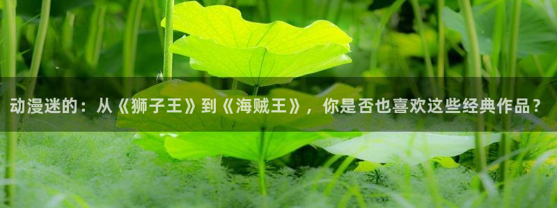 里番动漫的网站