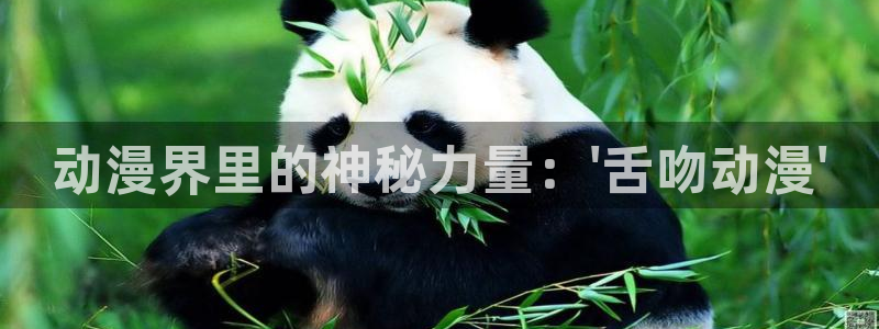 高质量里番